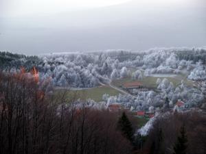 Planina 1
